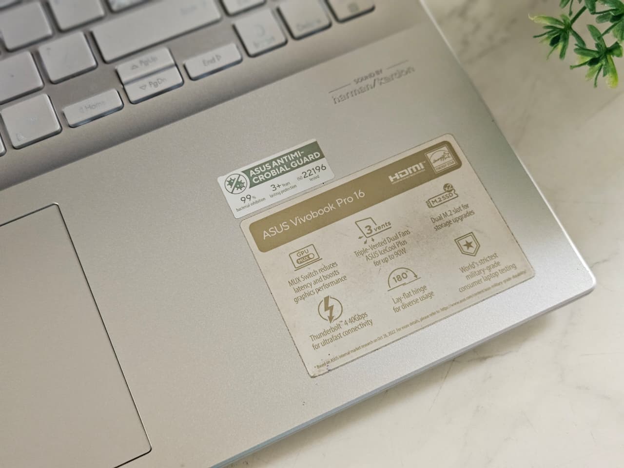 WhatsApp Image 2025-10-27 at 1.00.38 PM