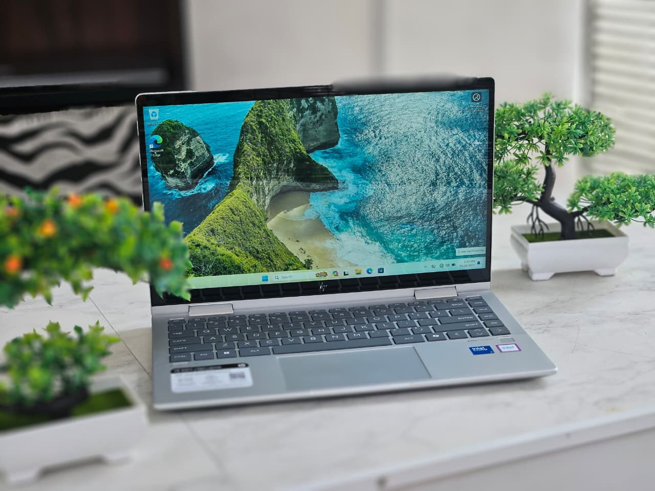 WhatsApp Image 2025-11-16 at 1.07.08 PM