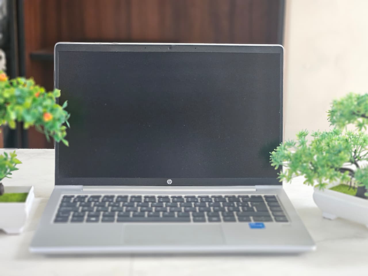 WhatsApp Image 2025-12-11 at 6.12.07 PM