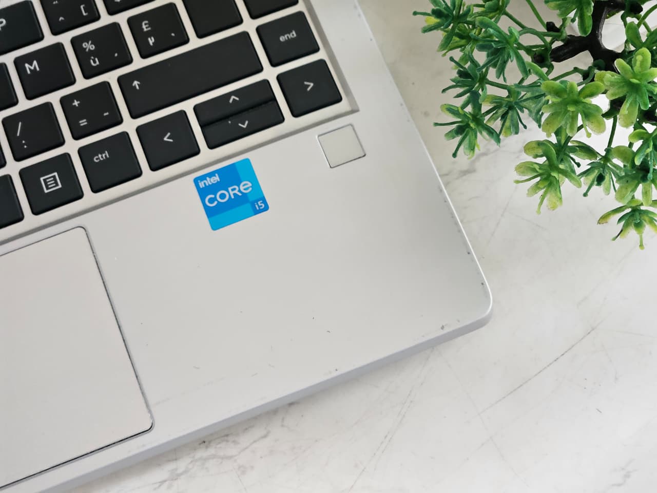 WhatsApp Image 2025-12-11 at 6.12.08 PM (1)