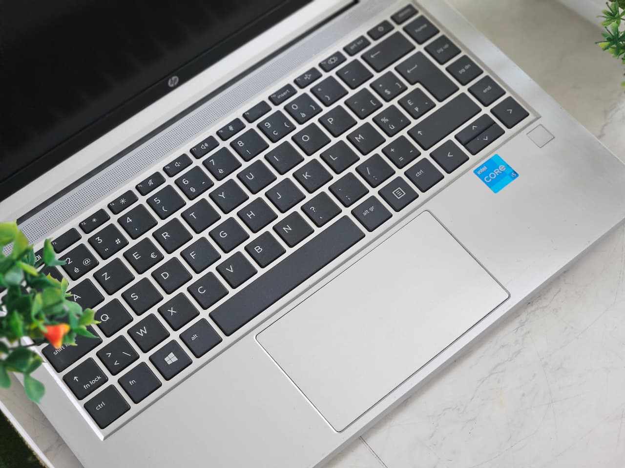 WhatsApp Image 2025-12-11 at 6.12.10 PM