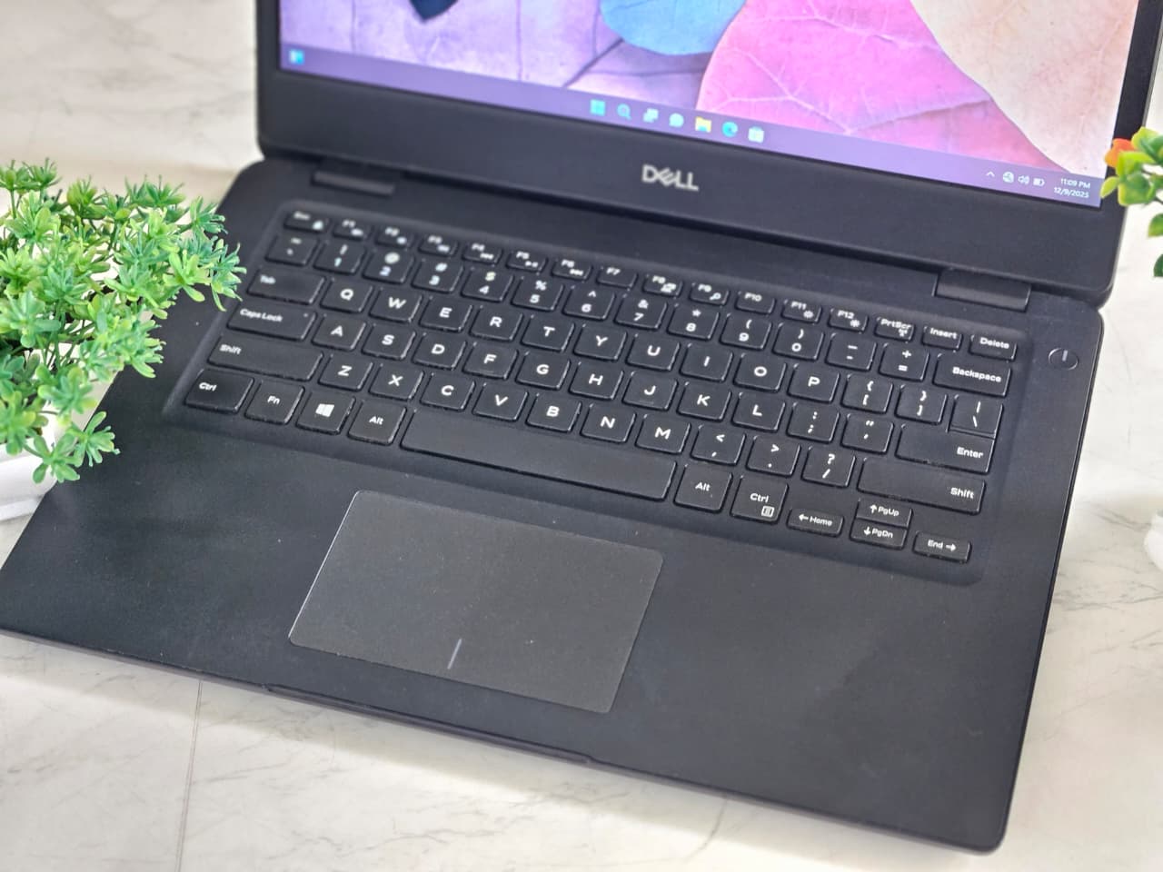 WhatsApp Image 2025-12-11 at 6.23.24 PM