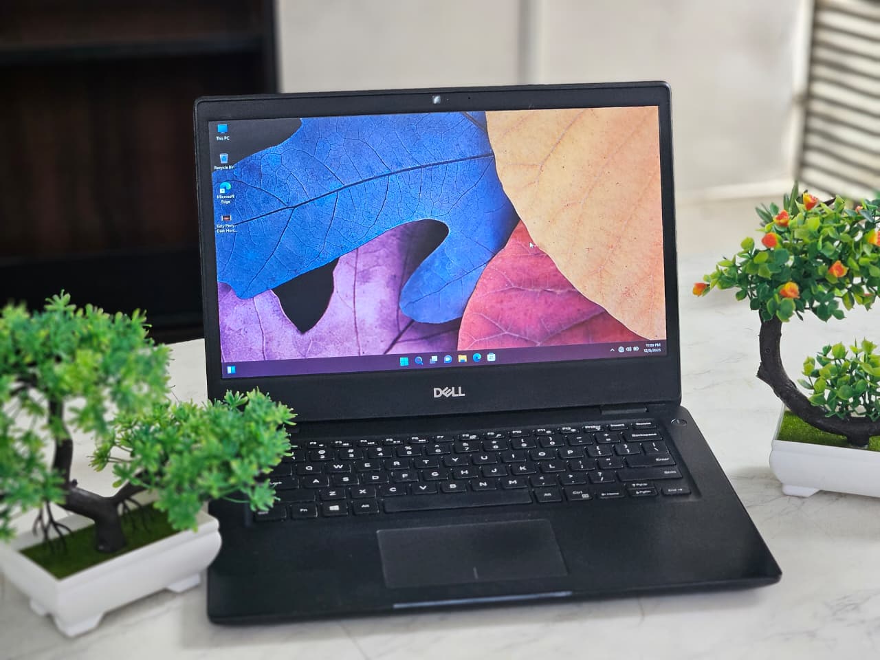 WhatsApp Image 2025-12-11 at 6.23.25 PM