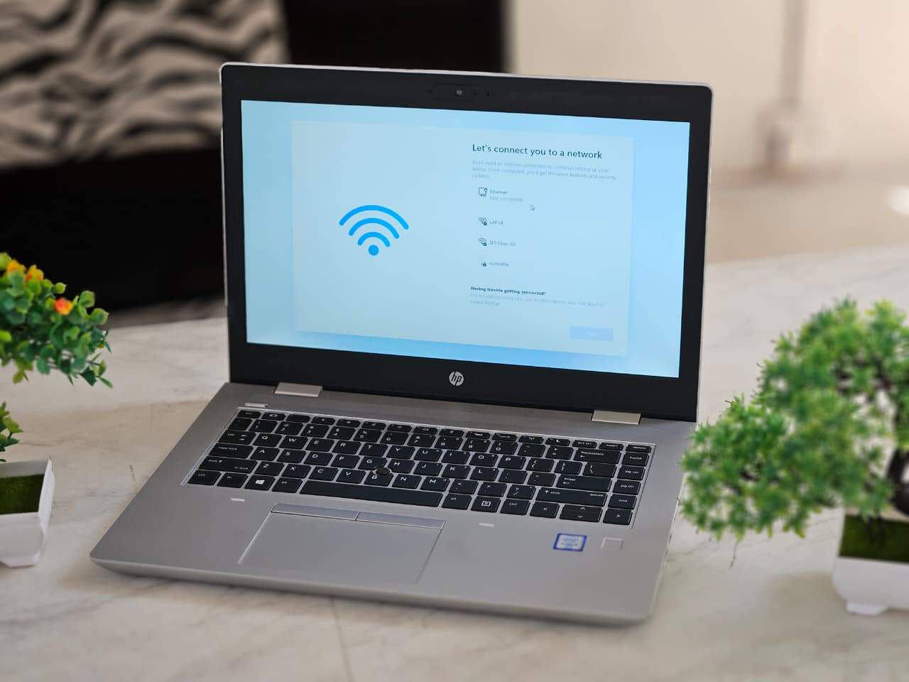 WhatsApp Image 2026-01-22 at 12.04.12 PM