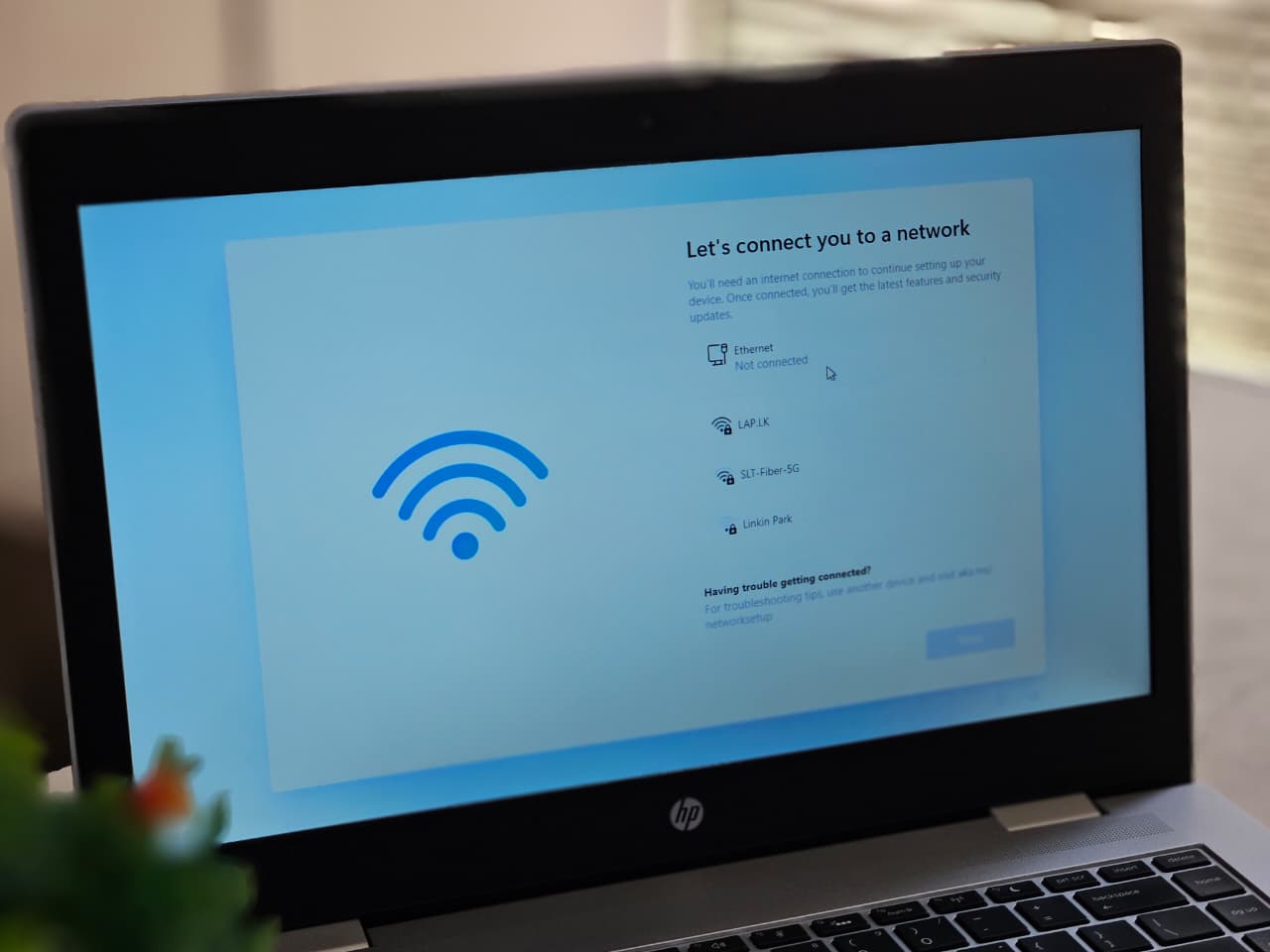 WhatsApp Image 2026-01-22 at 12.04.13 PM (1)