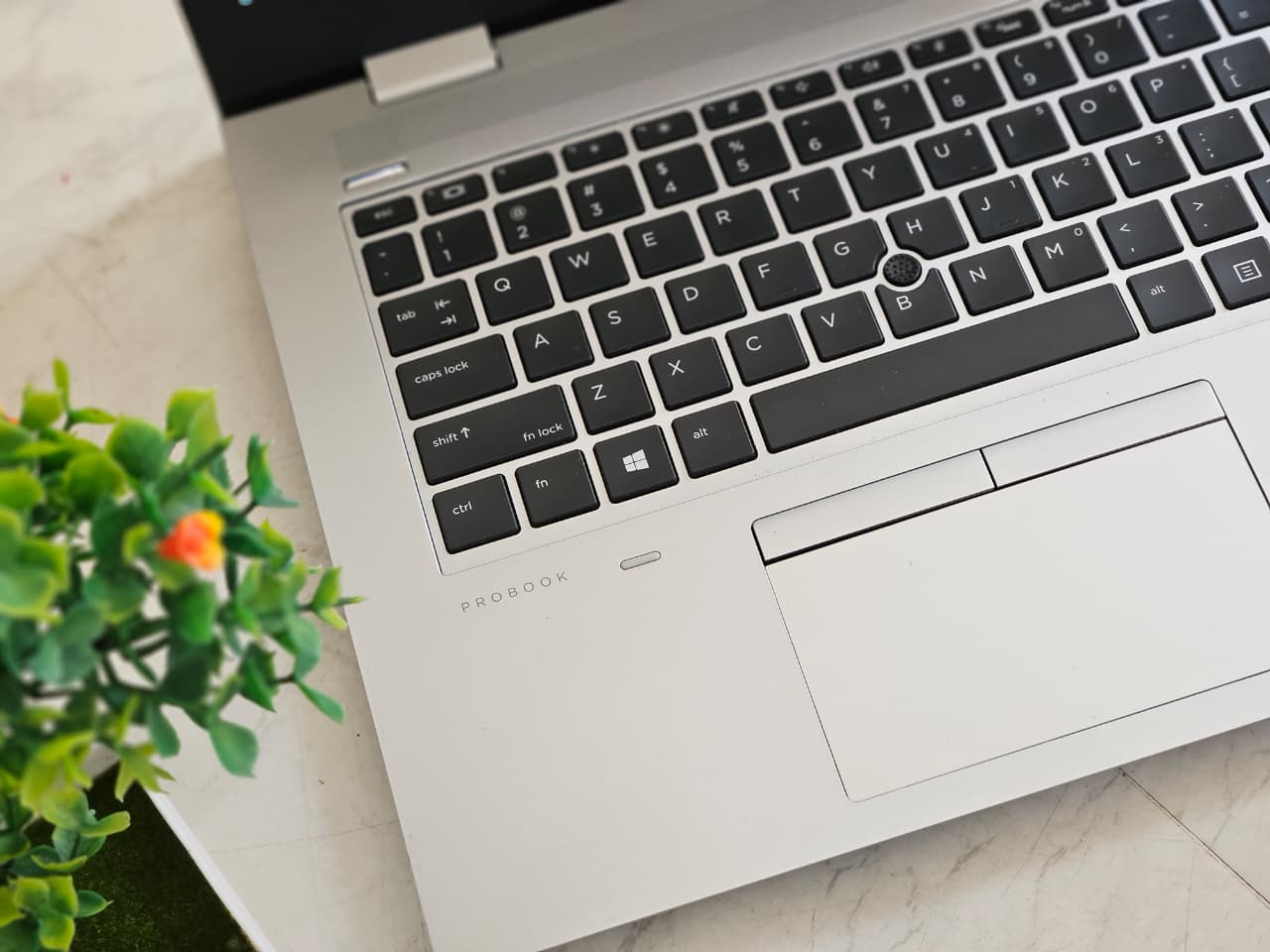 WhatsApp Image 2026-01-22 at 12.04.13 PM