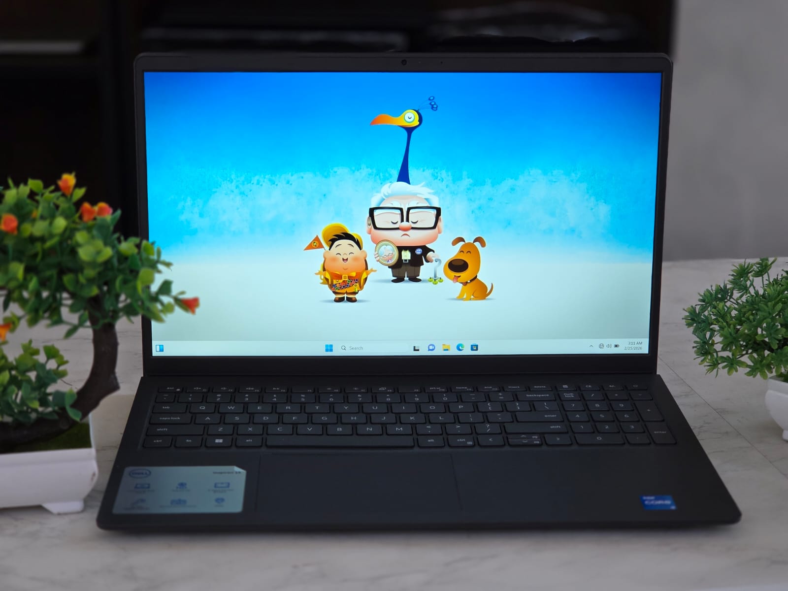 WhatsApp Image 2026-02-24 at 1.45.13 PM (1)