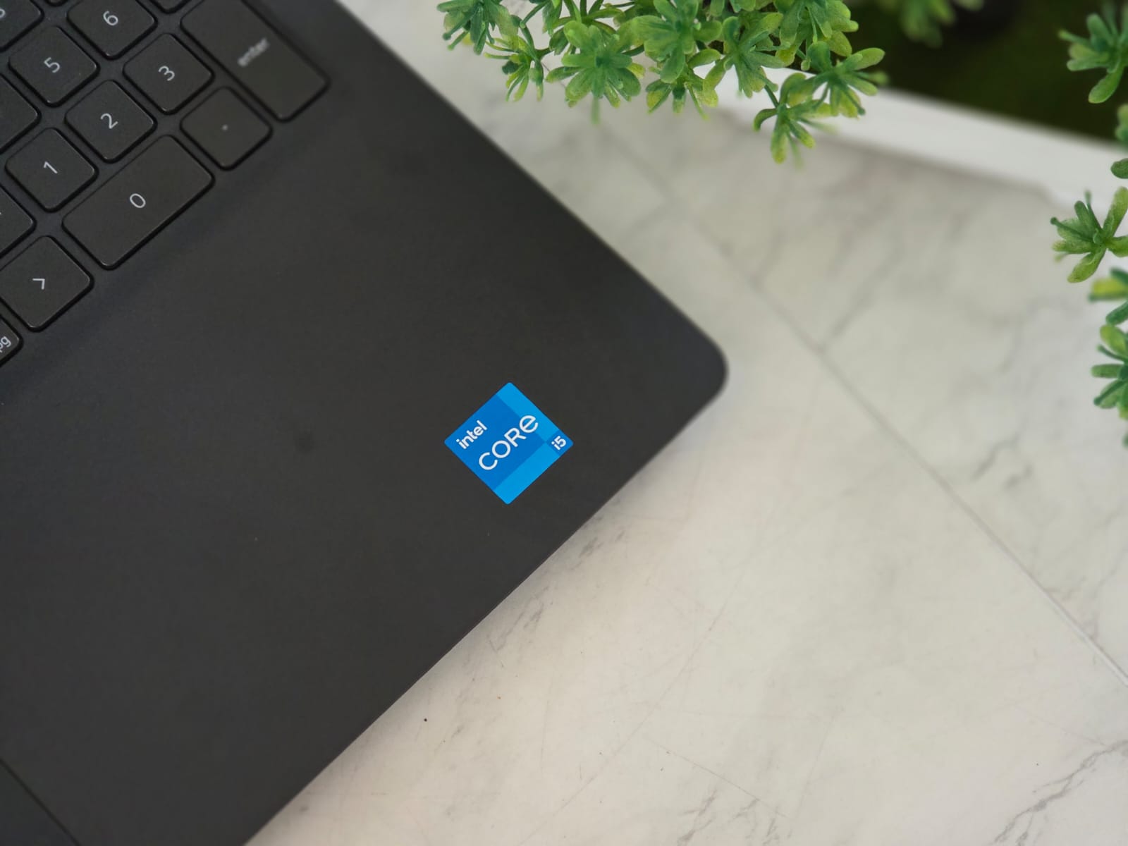 WhatsApp Image 2026-02-24 at 1.45.14 PM