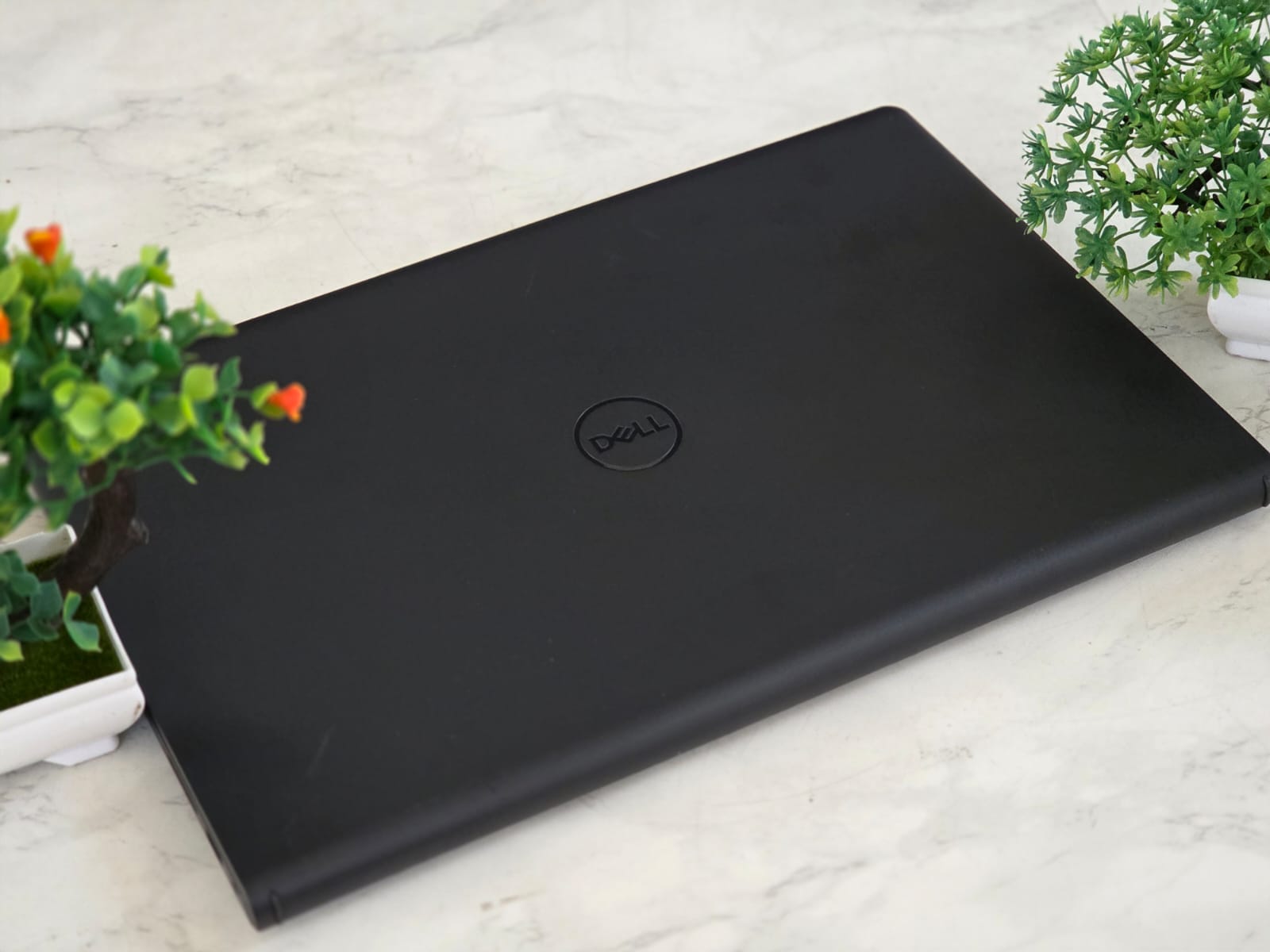 WhatsApp Image 2026-02-24 at 1.45.15 PM (1)