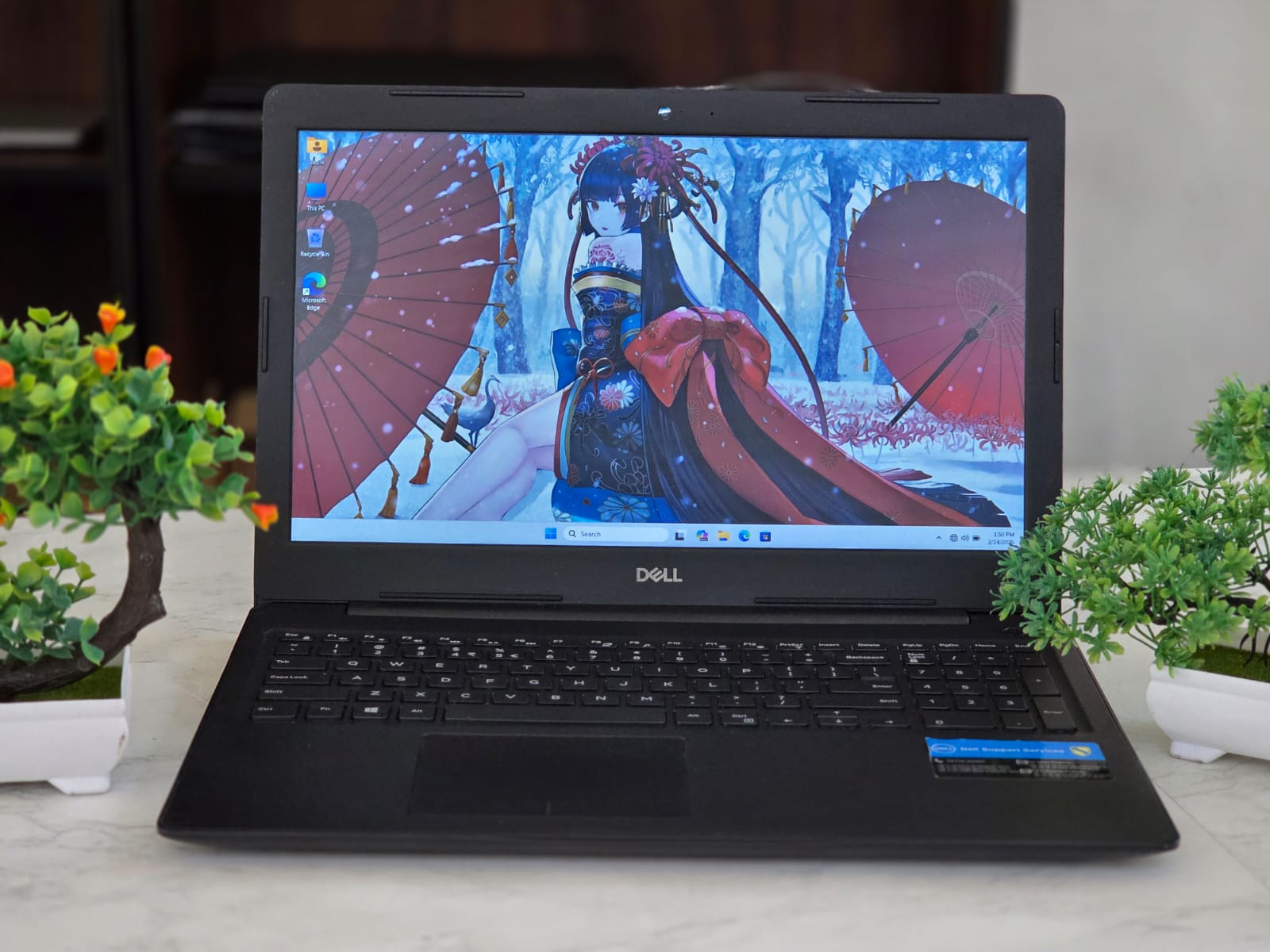 WhatsApp Image 2026-02-24 at 1.51.11 PM (1)