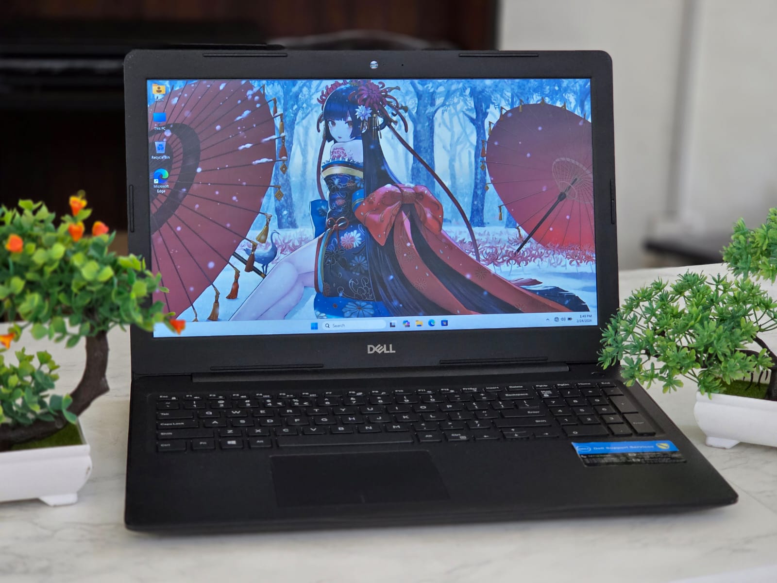 WhatsApp Image 2026-02-24 at 1.51.11 PM