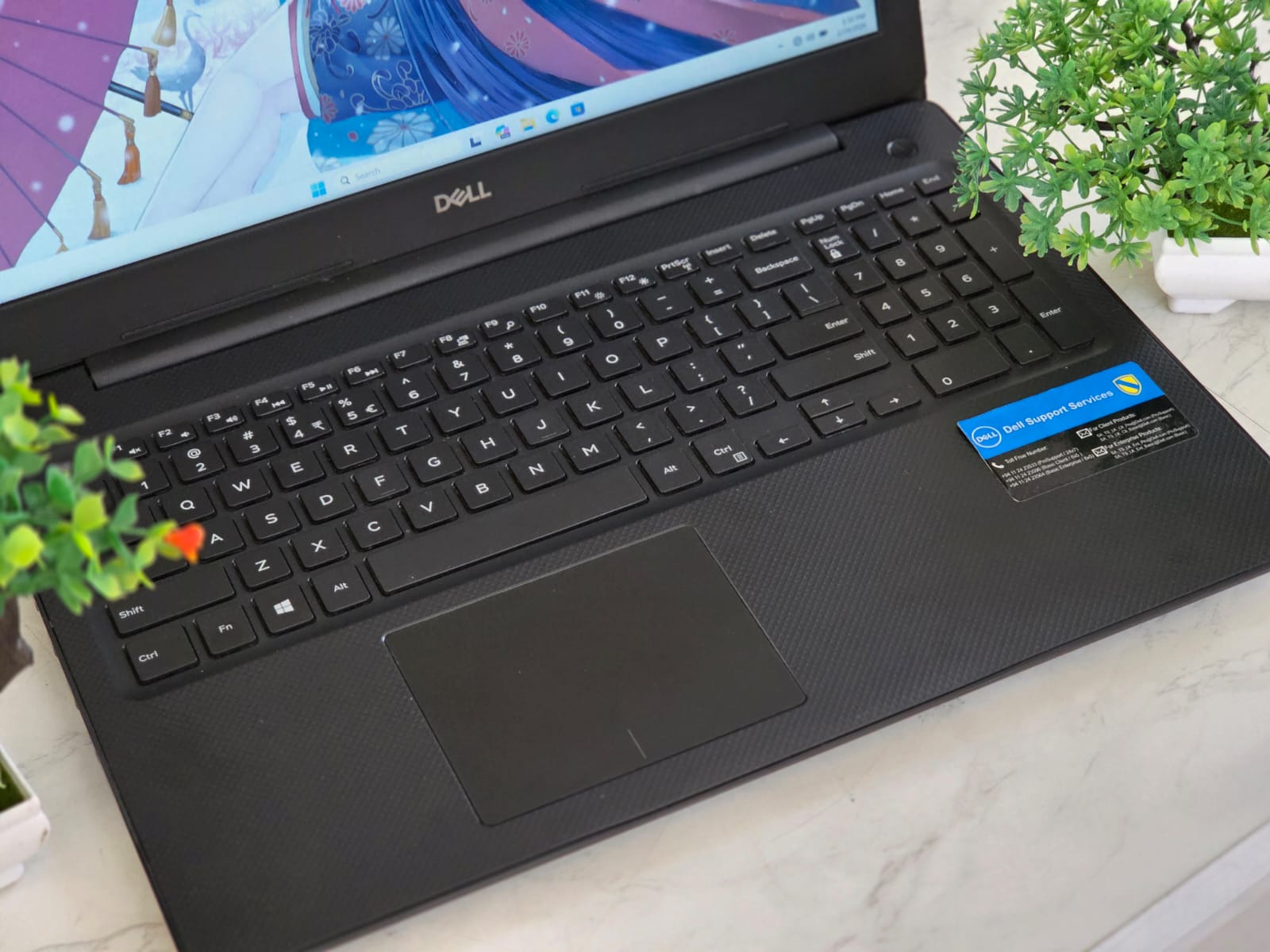 WhatsApp Image 2026-02-24 at 1.51.12 PM (2)